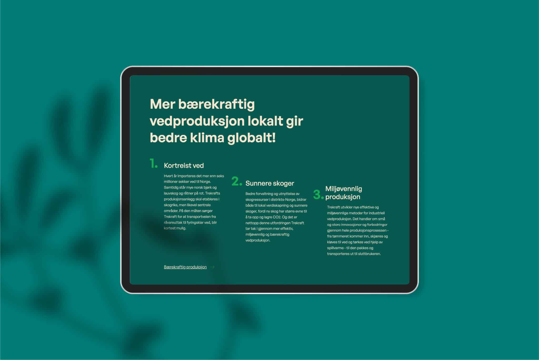 baerekraft@2x 100